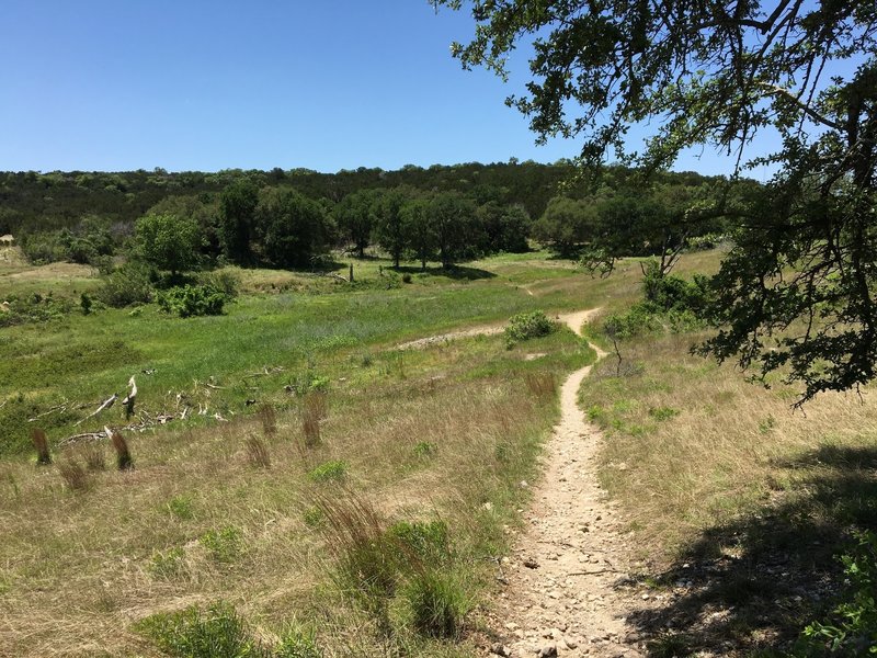 Looking back about half way around the San Gabriel River Goodwater Loop. I think this is the only smooth part!