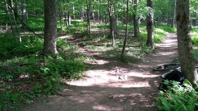 A split from the main trail to a nearby branch.