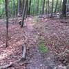 Much of the trails are marked with branches and logs along the outside edge