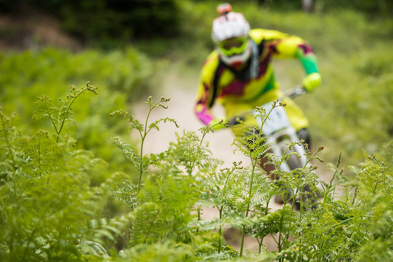 A racer flies by a bed of ferns near the top of Gnar-Gnar.