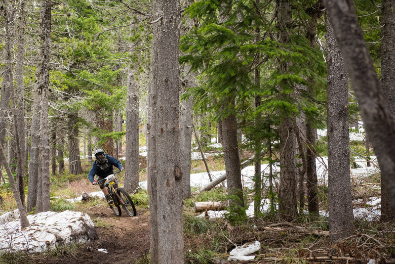 Riding through the trees on Fireball.