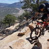 This is a pretty gnarly staircase to switchback on Porcupine Rim.