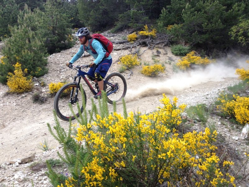 MTB Trail near Dobarsko village, Bansko area