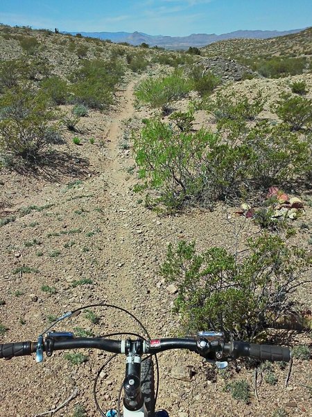 Singletrack running west down the valley.