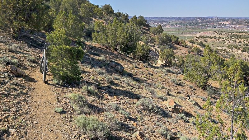 Pleasant singletrack with views of Gallup