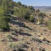 Pleasant singletrack with views of Gallup