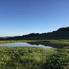 Scared off the elk before snapping this photo of the watering hole.