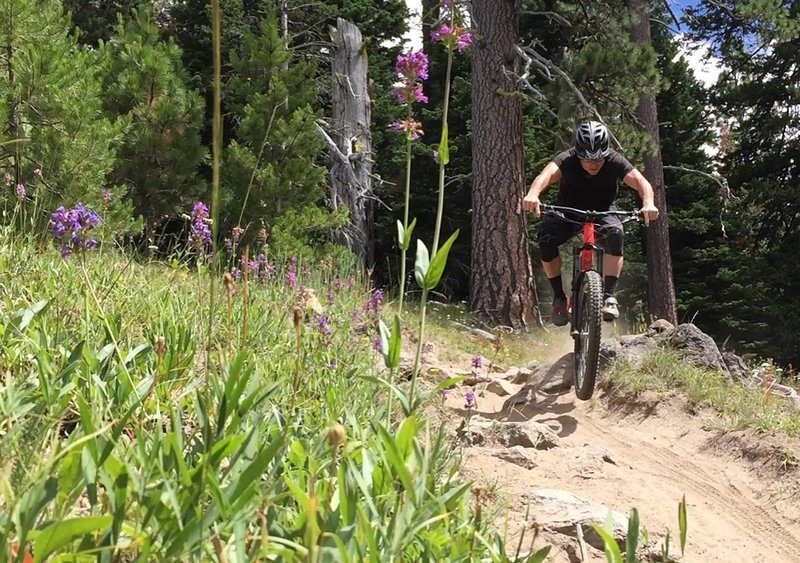 Mid-summer dust fest on Knebal Springs loop