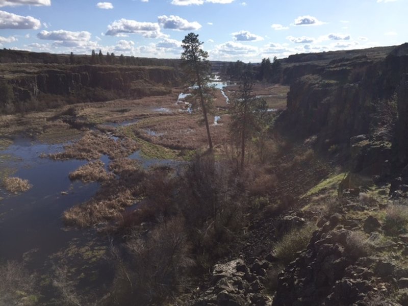 View of the nearby north Twin Lakes.