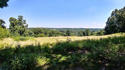 Overlooking the landscape from the Purple Loop.