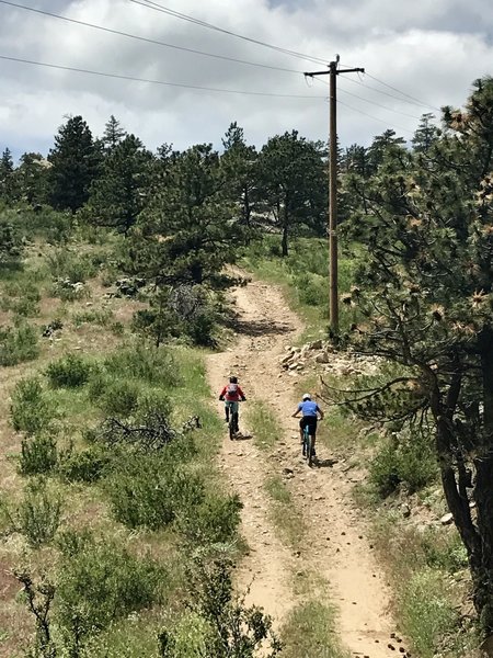 The climb up Powerline Trail is worth it for the Ginny downhill that follows!