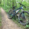 Smooth singletrack near the end of Chestnut Path.
