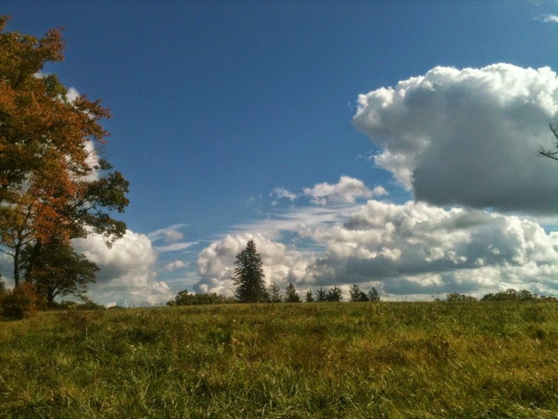 Near the top of Rutland Heights.