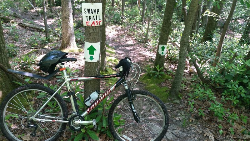 At the tail of Swamp Trail East