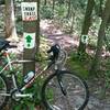 At the tail of Swamp Trail East