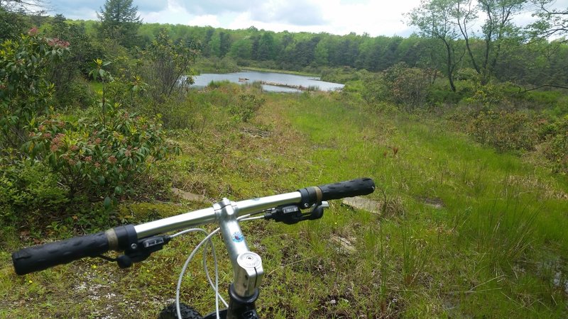 A quick lake view at the beginning of Swamp Trail East