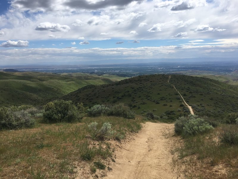 Quick lookout after some uphill climbing.