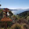 Queen Charlotte Track between Punga Cove and Portage.