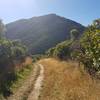 A view to the climb ahead. Yes, the trail goes up there...