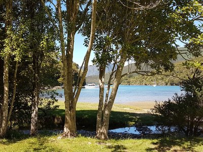 View of a nearby Watertaxi at Mistletoe Bay.