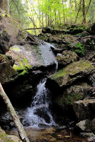 Views along Falls Trail.