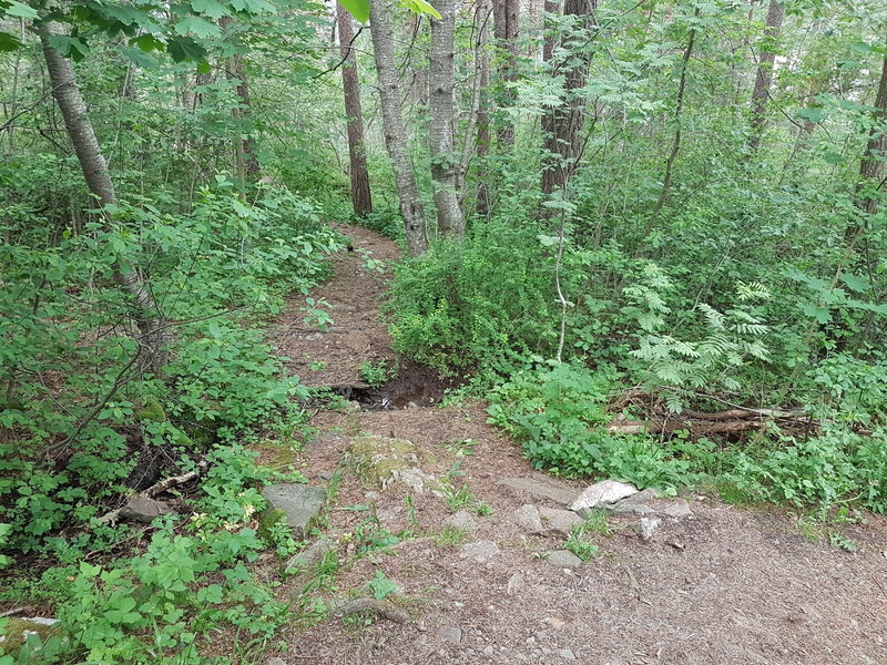 The trail connecting to Bråtanveien at this seasonal creek.