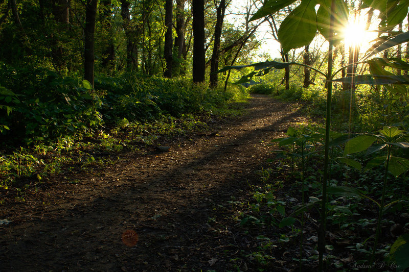 Wabash Heritage Trail in Tippecanoe County, IN.