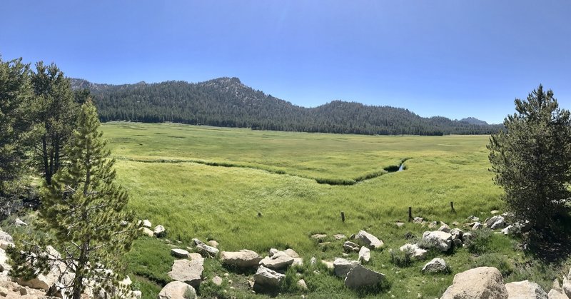 View across a big meadow from the Cannell Trail.