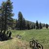 Making a muddy, but rideable meadow crossing.