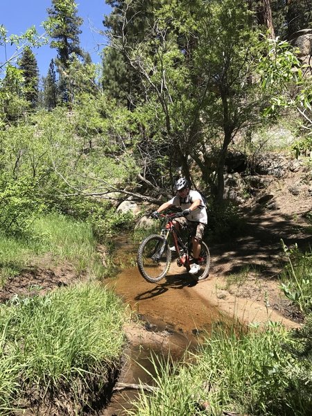 Cannell creek was still flowing in June, we even spotted a little trout up there.