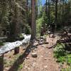 A gushing Browns Creek next to the trail might just be enough to drown out the sound of your teeth getting rattled out.