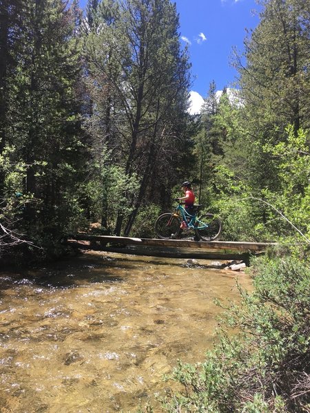 Most creek come with nicely built crossings.