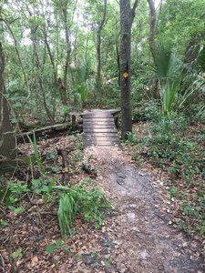 Start of the Tacoma Bridge feature.