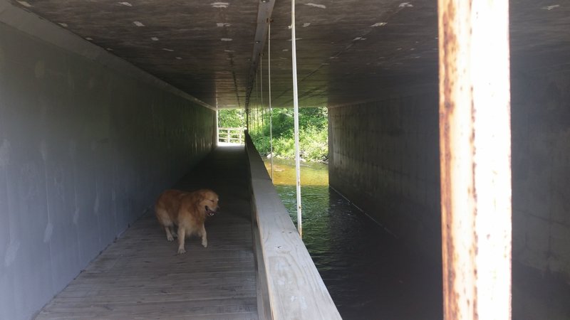 Pedestrian bridge under the highway.