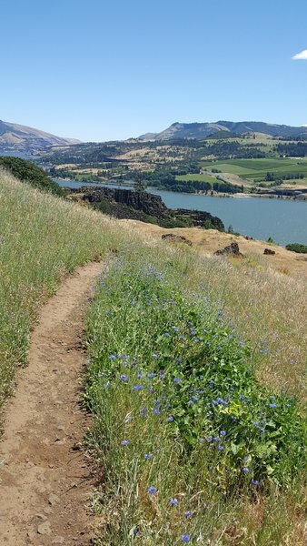 Heading down Little Maui through some early summer blooms.