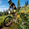 Spring blooms just heighten the already great view and awesome mountain vibe at the start of the season at Tamarack.