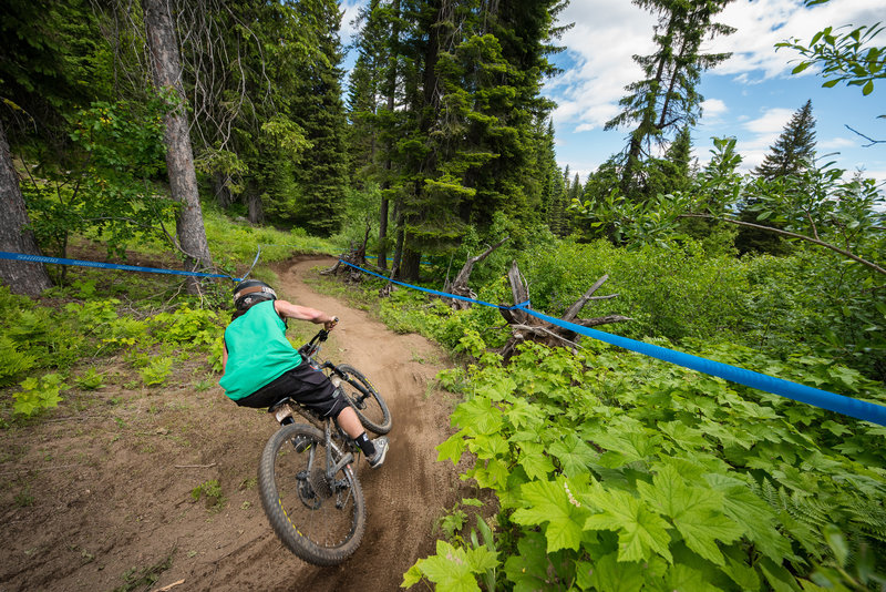 Winding singletrack makes Show-Low a trail-bike treat.