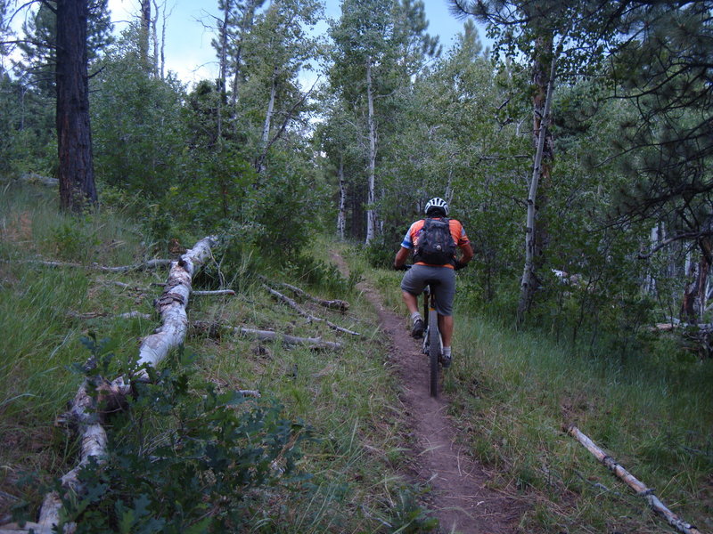 Climbing up the Thunder Loop #596 on a narrow section of singletrack.