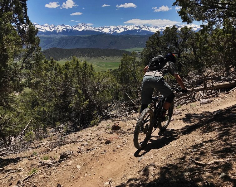 There are awesome views of the San Juans along Splinter.