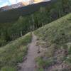 Looking up at Mount Princeton.