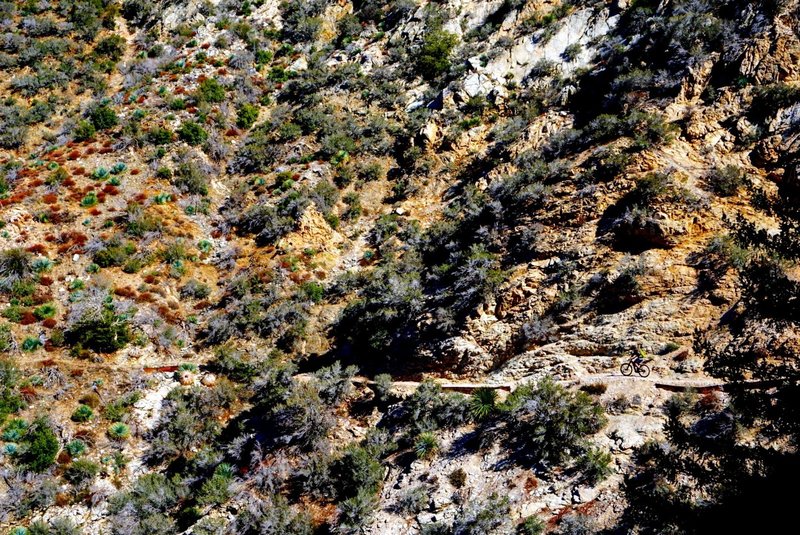 Alex Fore (bottom right) navigates the extreme exposure along Colby Canyon Trail on the Strawberry Peak Loop.