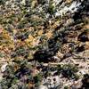 Alex Fore (bottom right) navigates the extreme exposure along Colby Canyon Trail on the Strawberry Peak Loop.