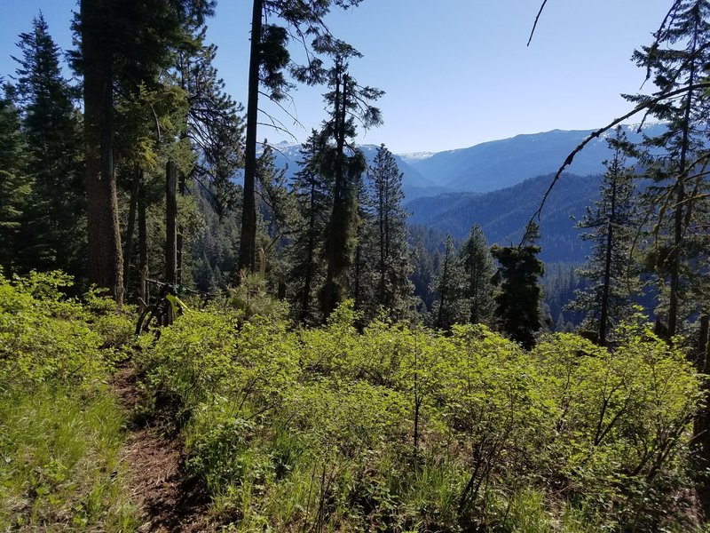 Views from the Cow Camp Trail.