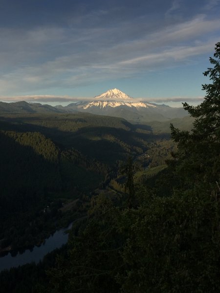 Mt. Jefferson from the high point.