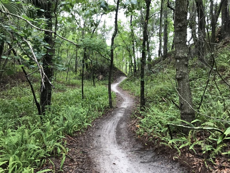 Heading up a slight climb on the North Creek Trail.