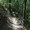 Narrow and smooth singletrack allows riders to pedal well.