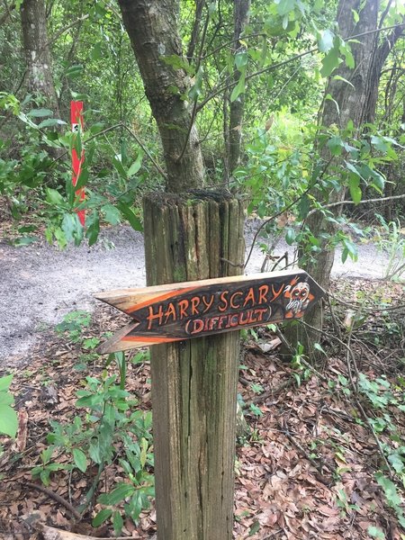 The lovingly painted entrance sign to Harry Scary.