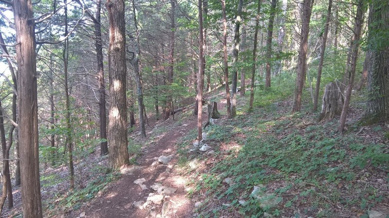 Crossing beneath Bald Knob.