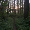 A summer sunset from the east end of the North Shore Trail.