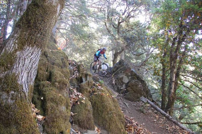 One of the steep rolls or drops on Chutes.